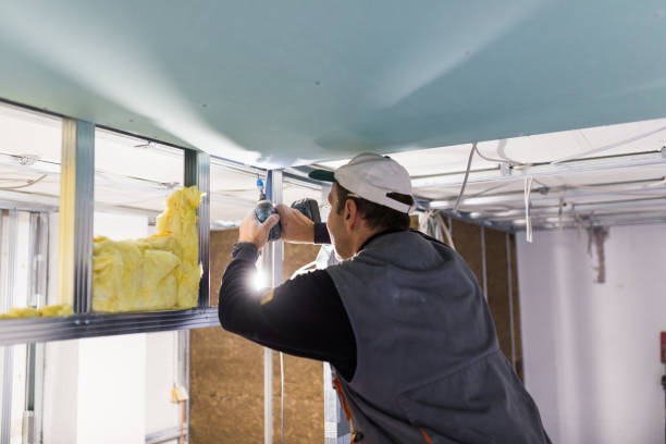Best Residential Insulation Services  in Blair, NE