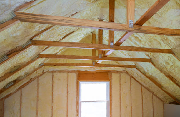 Best Insulation Contractors for Homes  in Blair, NE
