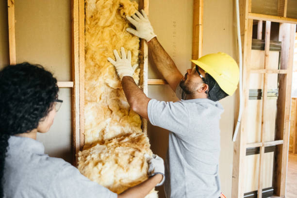 Best Attic Insulation Installation  in Blair, NE