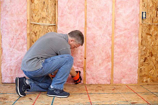 Best Local Insulation Services  in Blair, NE
