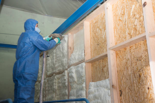 Best Insulation for New Construction  in Blair, NE