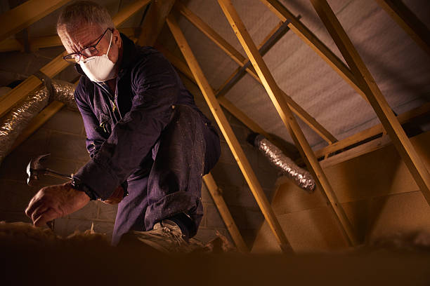 Best Crawl Space Insulation  in Blair, NE