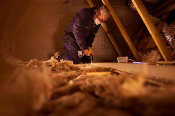 Best Residential Insulation Services  in Blair, NE
